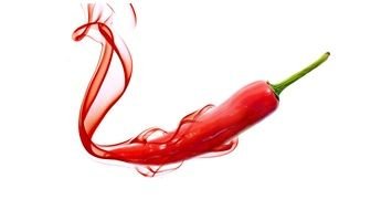 Chili Pepper as a graphic illustration