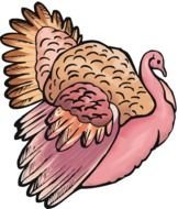 Wild Turkey Clip Art drawing