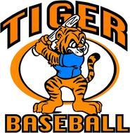 Tigers Baseball N2