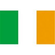 Irish Flag N7