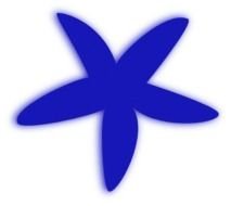 Blue Starfish Clip Art N13