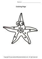Starfish Coloring Pages N4