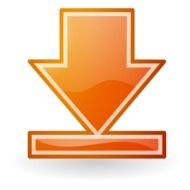 orange download button