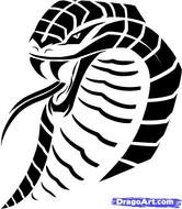 Snake Drawings N6