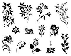 Black And White Spring Flowers N2