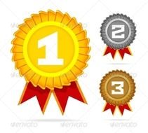 First Place Gold Medal N4