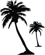 Palm Tree Wall Decals