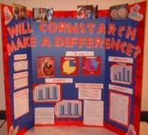Science Fair Project Display Boards Examples