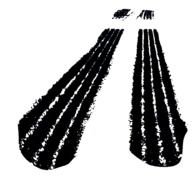 Skid Marks Clip Art N4