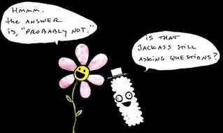talking flower and bottle