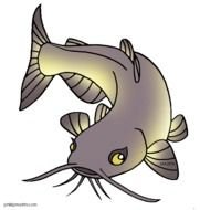 Channel Catfish Clip Art N4