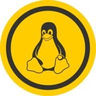 badge with cute penguin