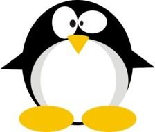Linux Penguin N2