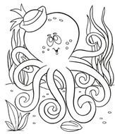 Octopus With Sailor Hat