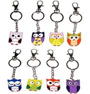 Give A Hoot Owl Keychain Various Styles