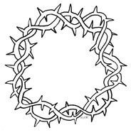 isolated crown of thorns