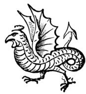 drawing of cocatrice