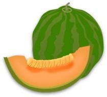 Melon Clip Art N14