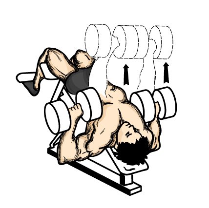 Decline Dumbbell Press middot oumlnceki Sonraki