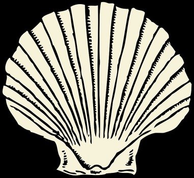 Cartoon Sea Shell at black background