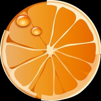 Orange Fruit Clip Art N48