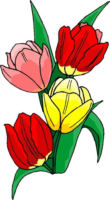 tulip bouquet for march 8