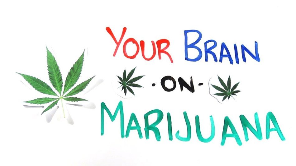 Your Brain On marijuana drawing