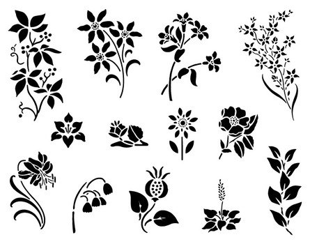 Black And White Spring Flowers N2