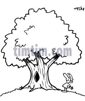 Cartoon Oak Tree Drawing