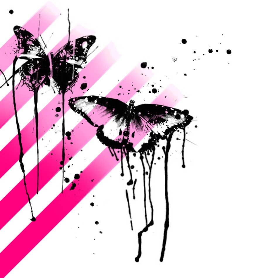 Rainbow Butterfly N2