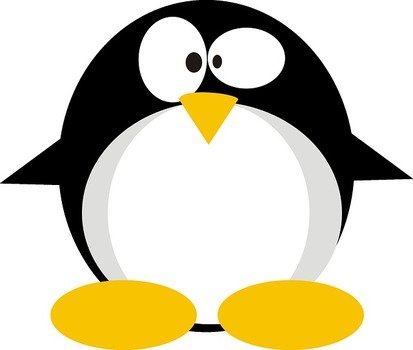 Linux Penguin N2