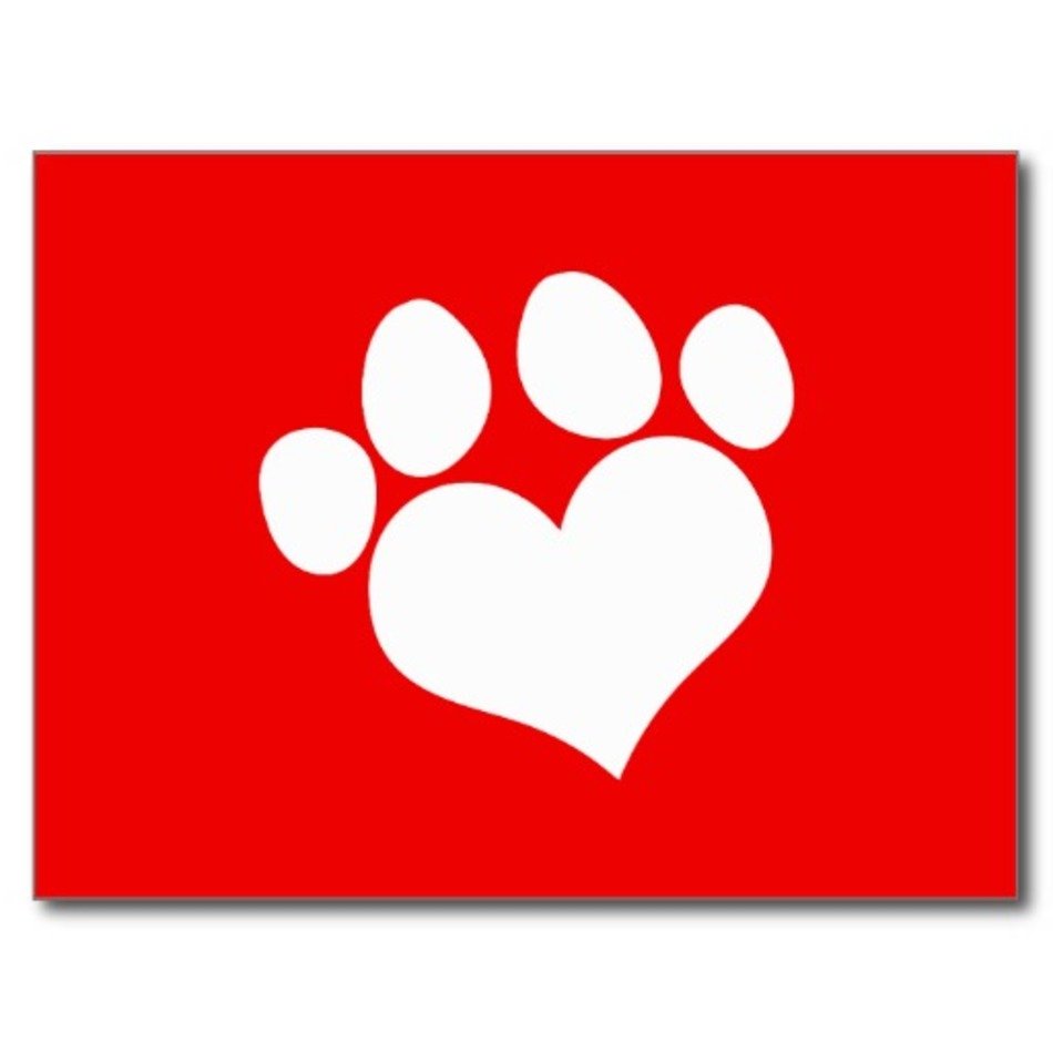 Related Pictures Red Paw Print Heart Pawprint Dog Cat Women S Tees