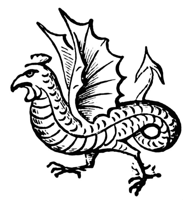 drawing of cocatrice