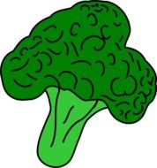 İllustration of Green broccoli