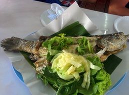 fish with vegetables on a plate