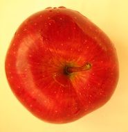 top view of red apple with water drops