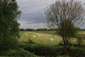 Landscape of the hay bales on field