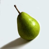 magnificent green fruit