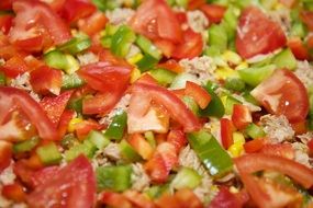 tuna and vegetable topping for pizza