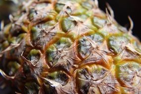 macro photo of pineapple