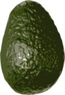 avocado is a nutritious fruit