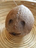 coconut without husk