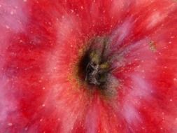 red apple, detail, macro