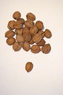 walnuts in shell on the table