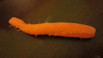 orange carrots on the table