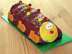 chocolate cake like a caterpillar