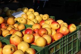 Red and yellow apples in the market