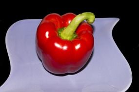 glossy red pepper on a conventional plate