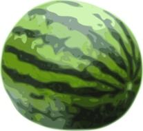 watermelon with striped skin