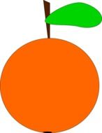 orange fruit drawing